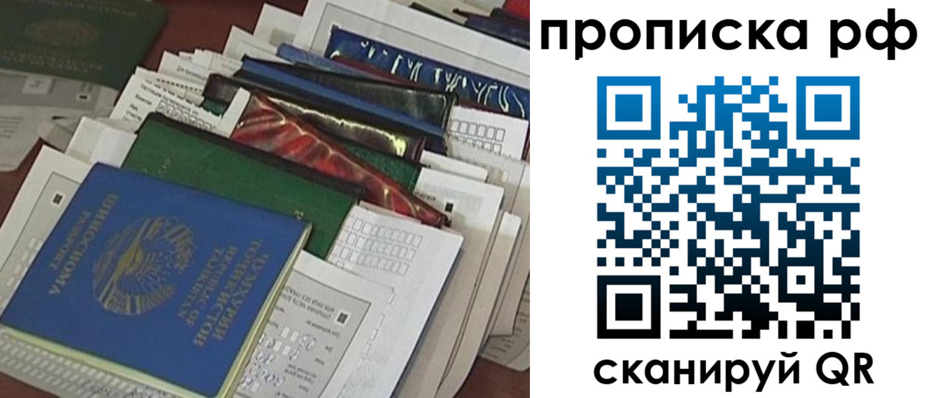прописка в Невеле
