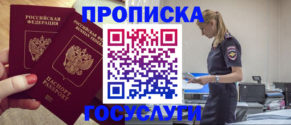 прописка поиск в Невеле